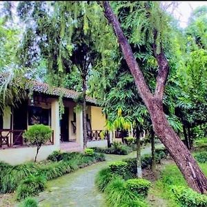 Rhino Lodge Bardia Pvt Ltd